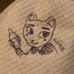 Meet your Posher, Subin